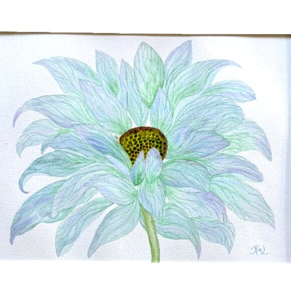 Painting Watercolor Flower Gerbera Daisy Blue Purple Original 11x14 & Mat 16x20